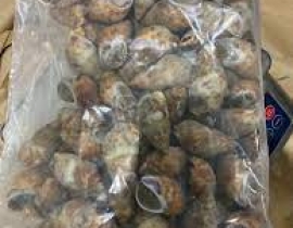ỐC HƯƠNG QUẾ - NHẬP KHẨU